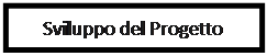 Cuadro de texto: Sviluppo del Progetto